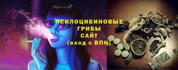 MDMA Богородицк