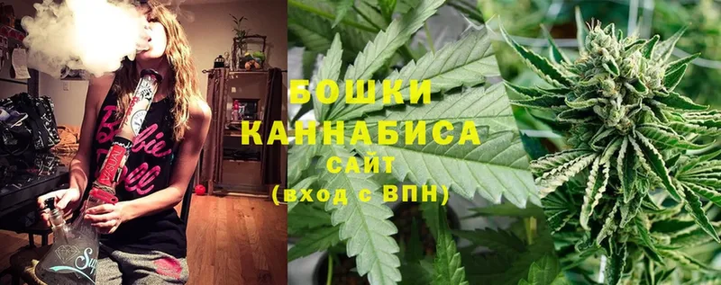 Шишки марихуана White Widow  где продают наркотики  Киров 